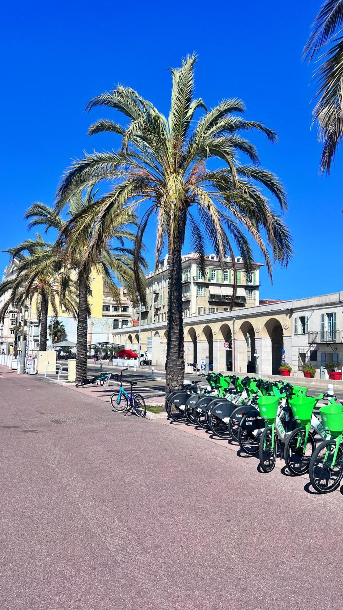 Le Saint Honore A 500 Metres A Pied De La Plage Ницца Экстерьер фото